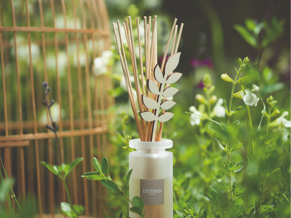 Bouquet parfumé nature - Monoï soleil - rechargeable - 100ml