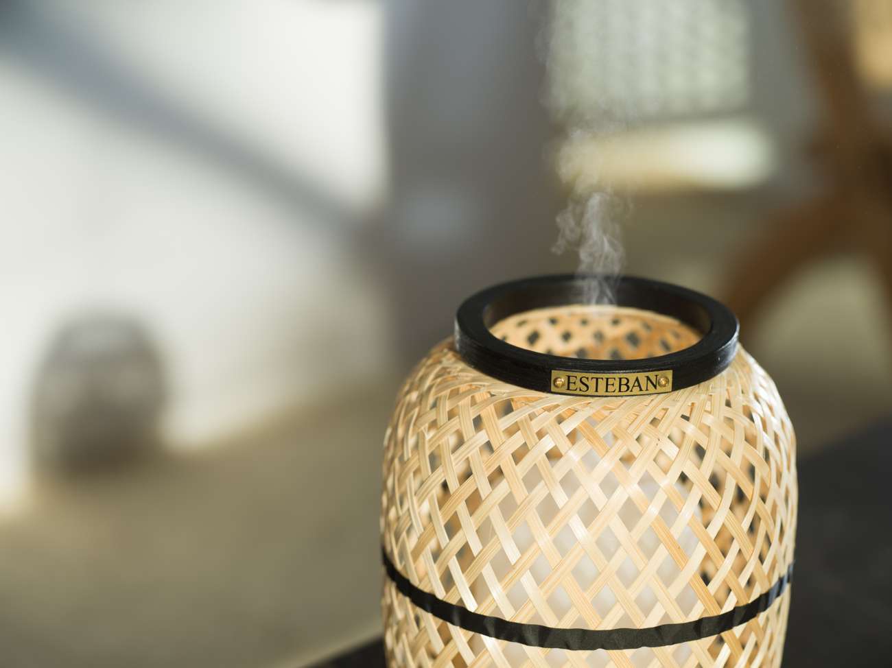 Diffuseur brume de parfum - édition Bambou & lumière