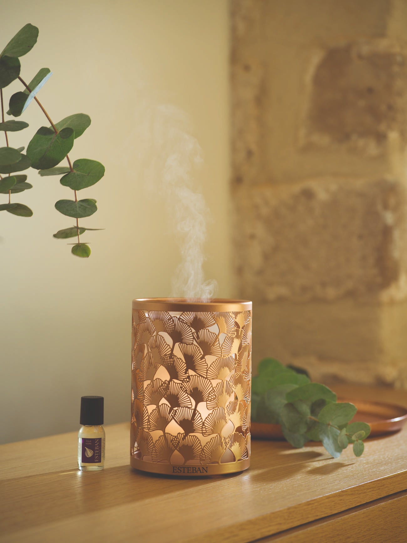 Fragrance mist diffuser - Copper & light Edition