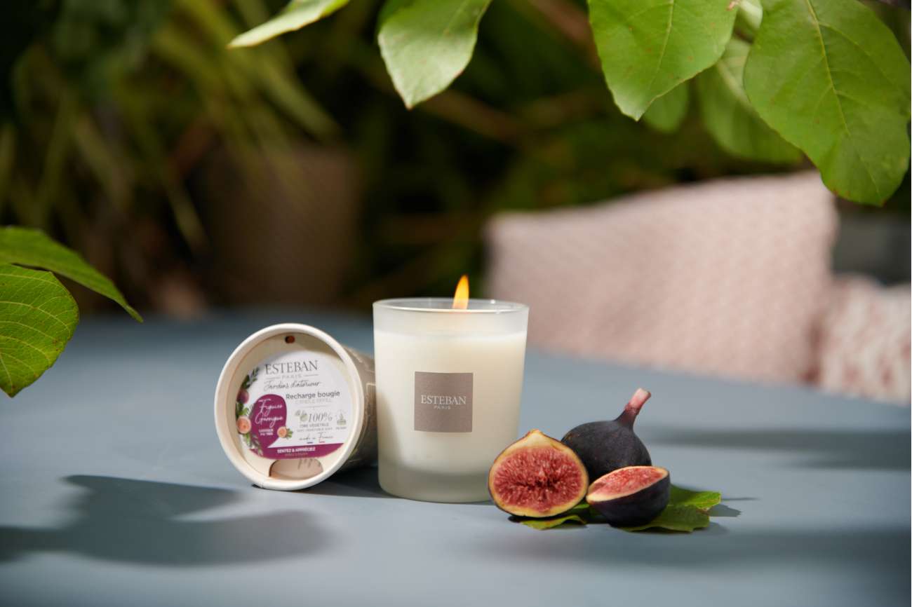 Scented candle refill - Fig Tree Garrigue - 180g