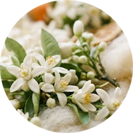 Fleurs d’Oranger