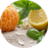 Parfum Frais & Hespéridés
