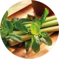 Citronnelle & Menthe