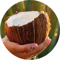 Eau d'agave et coco