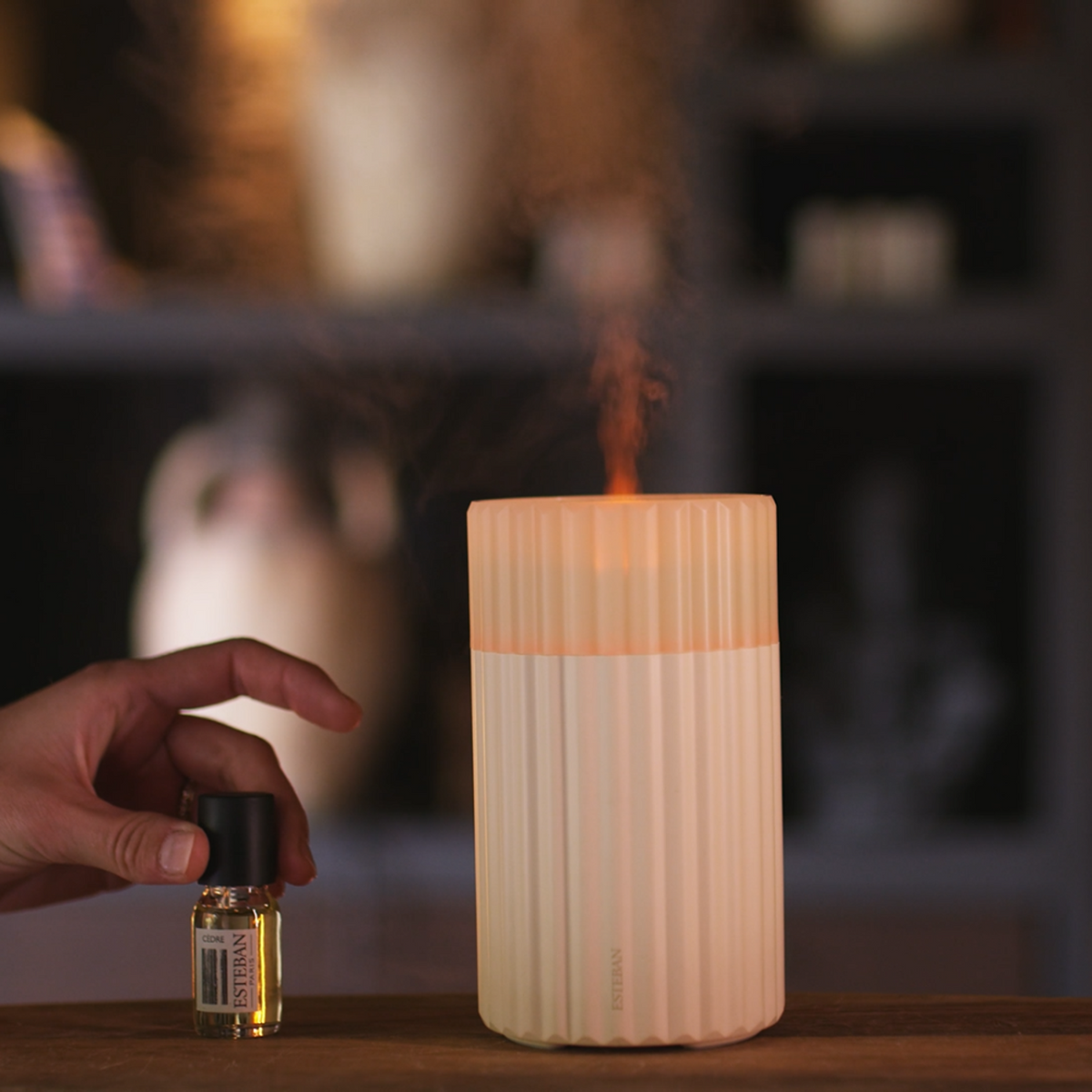 Diffuseur brume de parfum - édition Color Mist